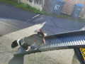 dog running down dog ramp
