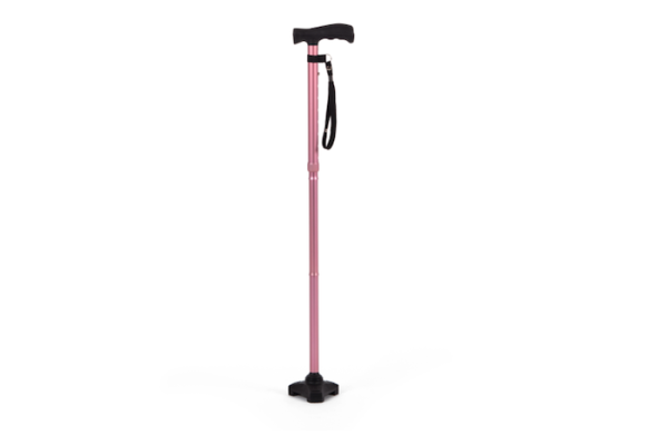 Pink walking stick 