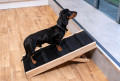 dooggy ramp