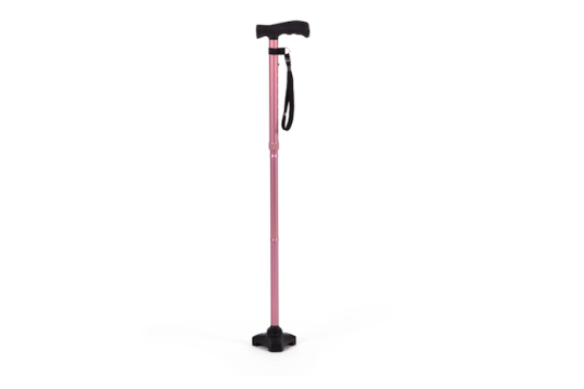 Pink walking stick 