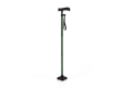 Green walking stick comfort 