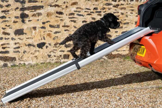 Telescopic Dog Ramp and Pet Ramp